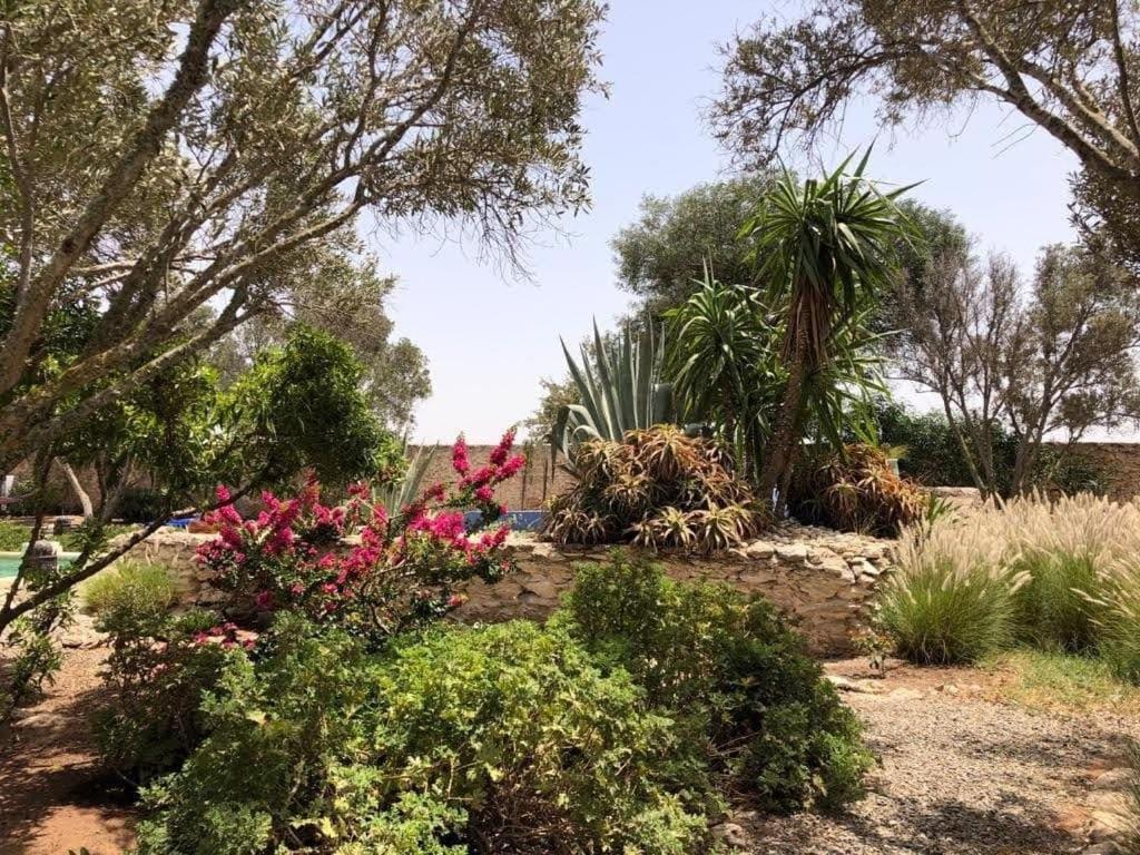 Les Jardins De Silona, Piscine Chauffee Hotel Essaouira Exterior foto