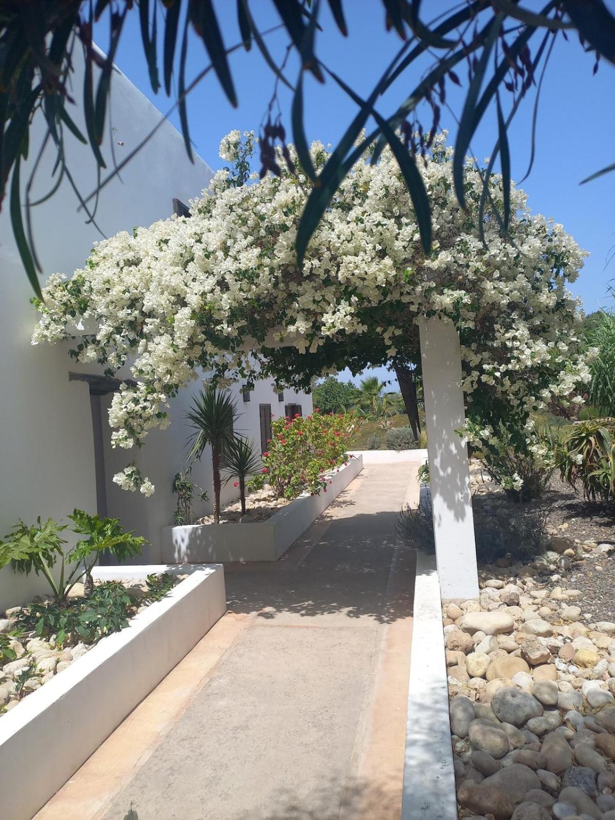 Les Jardins De Silona, Piscine Chauffee Hotel Essaouira Exterior foto