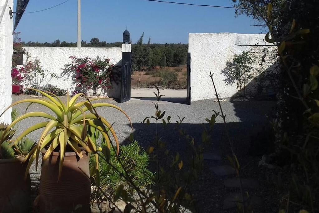 Les Jardins De Silona, Piscine Chauffee Hotel Essaouira Exterior foto