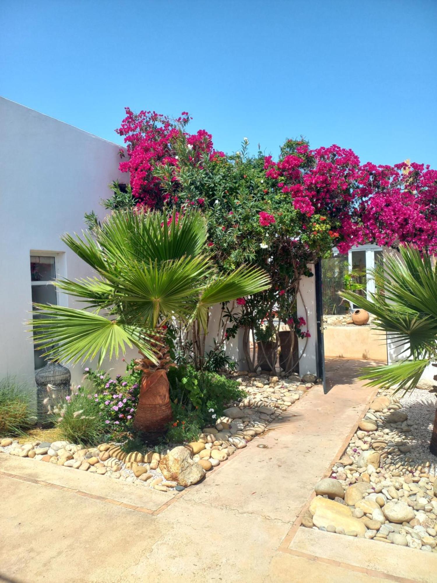 Les Jardins De Silona, Piscine Chauffee Hotel Essaouira Quarto foto